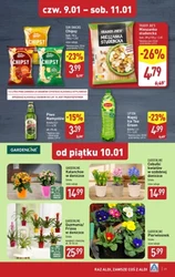 Duże opakowania w Aldi! 