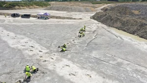 Nigdy nie odkryto czegoś podobnego. To wręcz autostrada dinozaurów