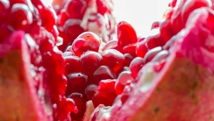 Czerwony owoc na wysoki cukier i ciśnienie. Działa jak miód na serce seniorów