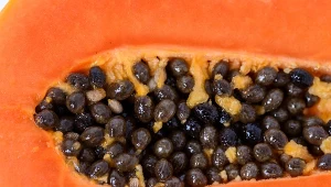 Ten egzotyczny owoc ma słodkawo-maślany smak, niski IG i mało kalorii. 