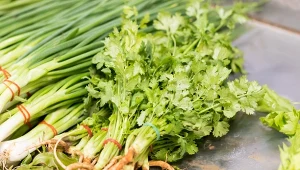 Nielubiana ze względu na zapach. Tymczasem pomaga w trawieniu, działa przeciwcukrzycowo i przeciwzapalnie