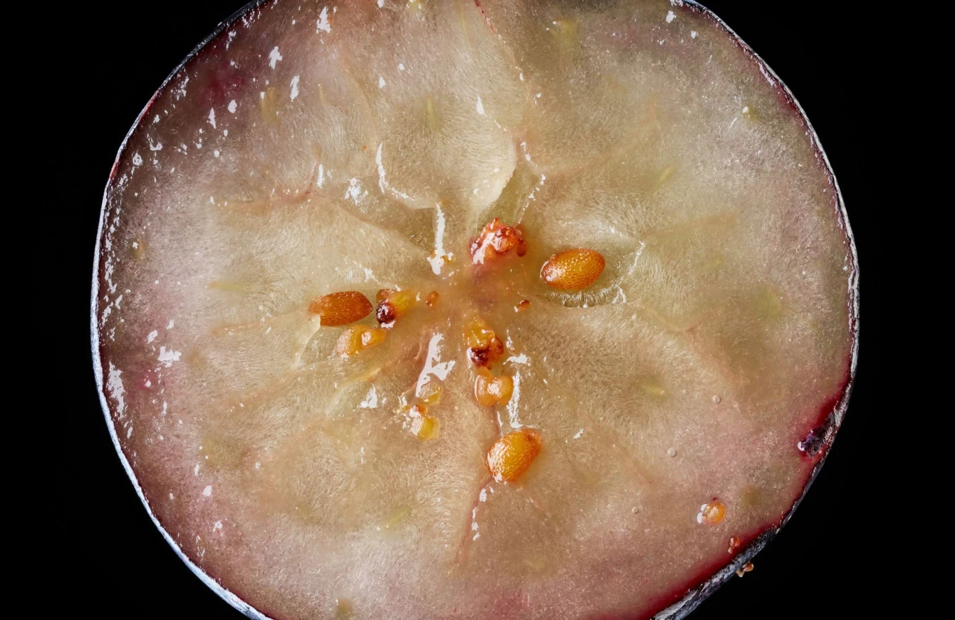 Ten niepozorny owoc niesie ze sobą wiele korzyści dla zdrowia. Co się dzieje w organizmie, kiedy jesz go regularnie? Ten niepozorny owoc niesie ze sobą wiele korzyści dla zdrowia. Co się dzieje w organizmie, kiedy jesz go regularnie?