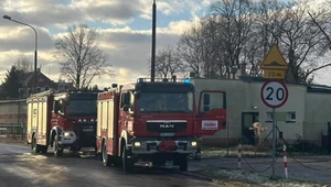 Na miejsce pożaru przyjechały dwa wozy straży pożarnej