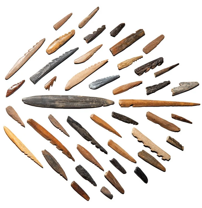 Te groty włóczni i strzał zostały wyrzeźbione z kości i poroża przez dawnych mieszkańców Doggerlandu.