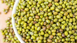 Fasola mung to produkt o wielu ważnych dla zdrowia właściwościach 