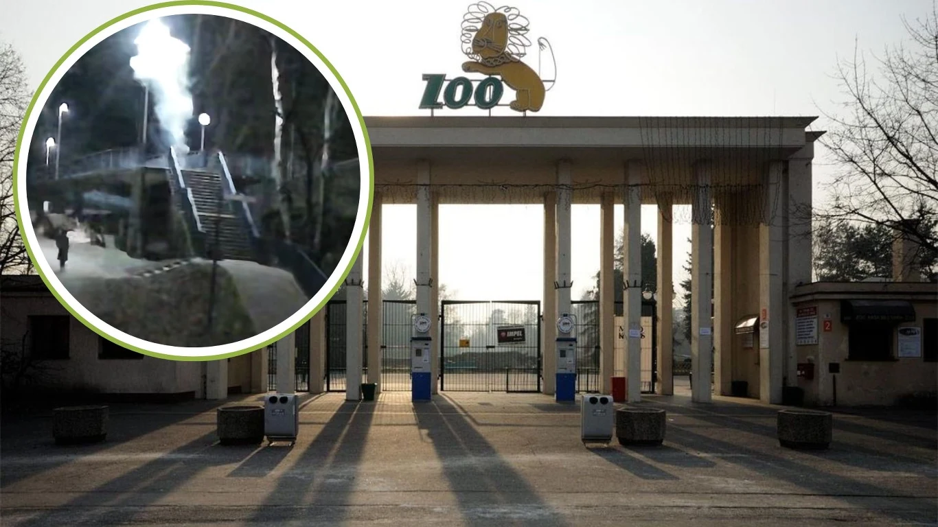 Odpalenie fajerwerków przy wrocławskim zoo Odpalenie fajerwerków przy wrocławskim zoo