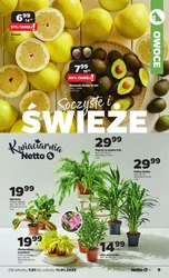 Proste oszczędności w Netto 