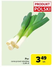 Пор Polski