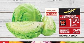 Kapusta biała Polski niska cena