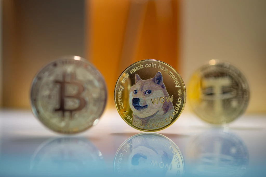 Eksperci nie wykluczają, że cena ”doge” zmierza w stronę 5 dolarów.