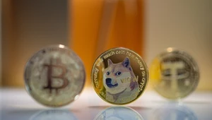 Drożejący dogecoin. ”Psia moneta” może liczyć na Elona Muska