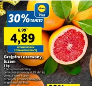 Grejpfrut Plus-Plus