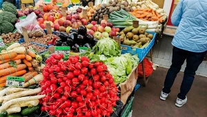 Czesi przyjeżdżają do Polski po ogórki. 