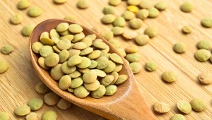 Kto powinien jeść soczewicę zieloną? Dla kilku grup będzie szczególnie dobra