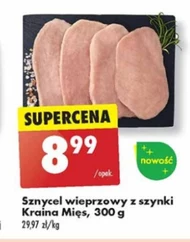 Sznycel Kraina Mięs