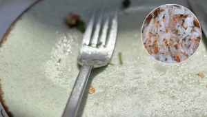 W PRL-u lądował na stole zamiast schabowych. Zapomniany, a zdrowszy od mięsa i wielu ryb