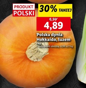 Dynia Polski niska cena