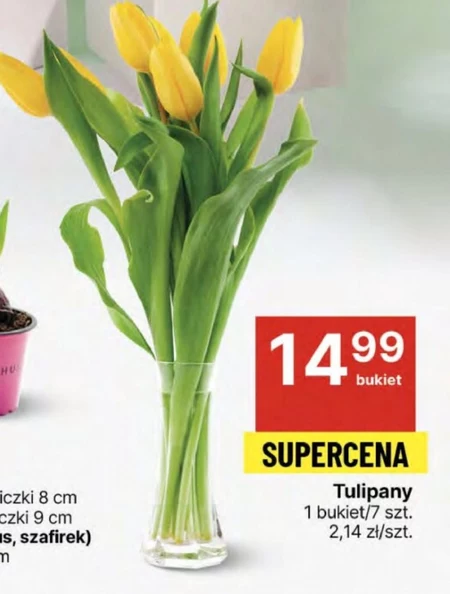 Bukiet tulipanów Tulipany