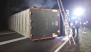 Wola Pękoszewska. TIR przewożący świnie się przewrócił. DK 70 jest zablokowana