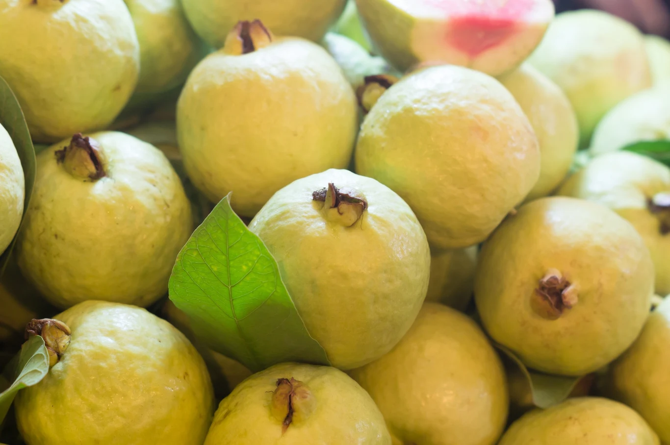 Gujawa swoim wyglądem nieco przypomina jabłka. Jej słodko-kwaśny smak wiele osób porównuje do truskawki lub ananasa.