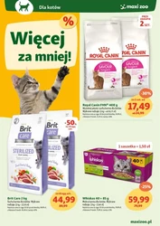 Maxi ZOO - razem w nowy rok