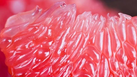 Nowa odmiana grejpfruta ma być bezpieczna dla każdego