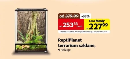 Terrarium Repti planet