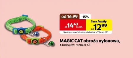 Obroża Magic cat