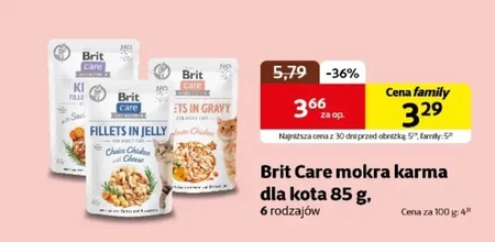 Mokra karma dla kota Brit Care