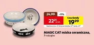 Miska dla zwierząt Magic cat