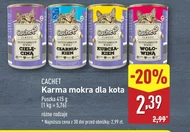 Mokra karma dla kota Cachet