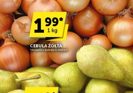 Cebula