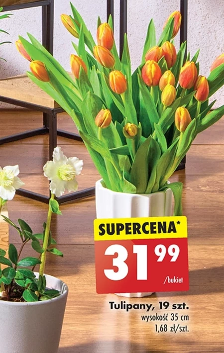 Bukiet tulipanów Tulipany