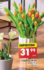 Bukiet tulipanów Tulipany