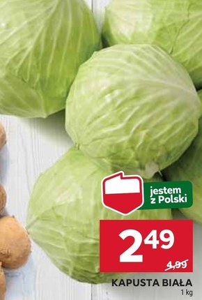 Kapusta biała Polski niska cena