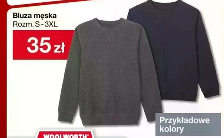 Bluza męska