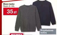 Bluza męska