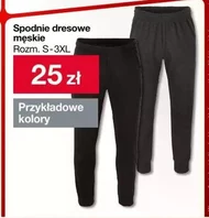 Spodnie dresowe