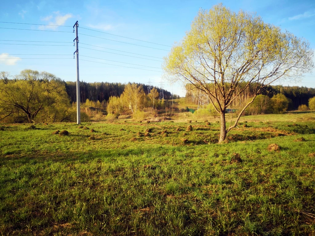 Kret potrafi wykopać jednej nocy nawet 30 kopców