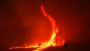 Ogniste diabły w Los Angeles. Rzadkie zjawisko nagrano