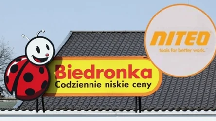 Niteo w Biedronce - od narzędzi aż po odzież roboczą. Oferta zachwyca cenami już od 7,99 zł! 