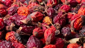 Najczęściej jemy w postaci nadzienia w pączkach. Tymczasem ten polski owoc działa jak lekarstwo