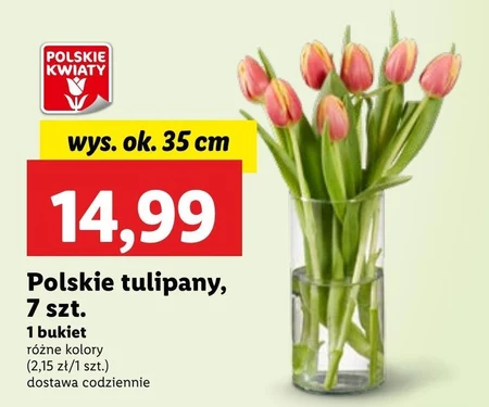 Bukiet tulipanów Polskie kwiaty