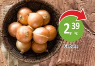 Cebula