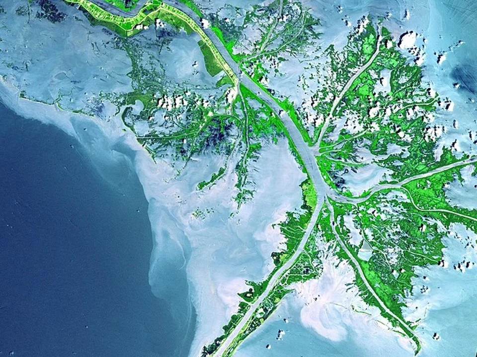 Delta rzeki Missisipi z kosmosu. Zdjęcie zostało wykonane 24 maja 2001 r. przez Advanced Spaceborne Thermal Emission and Reflection Radiometer (ASTER) na satelicie Terra NASA.