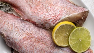 Nazywany jest "królem ryb", nie kumuluje rtęci. Lepszy od łososia i dorsza, a Polacy wciąż omijają