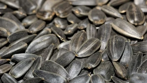 Zjesz garstkę dziennie i przejdzie ci ochota na słodycze. W sam raz dla kobiet po 50. i walczących z wysokim cholesterolem