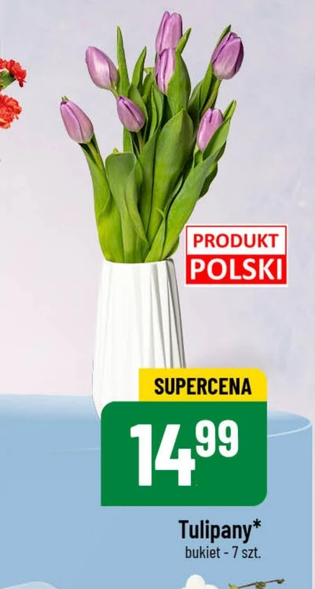 Букет тюльпанів Tulipany