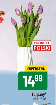 Bukiet tulipanów Tulipany