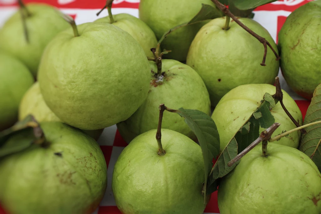 Gujawa pomaga dbać o zdrowie i urodę